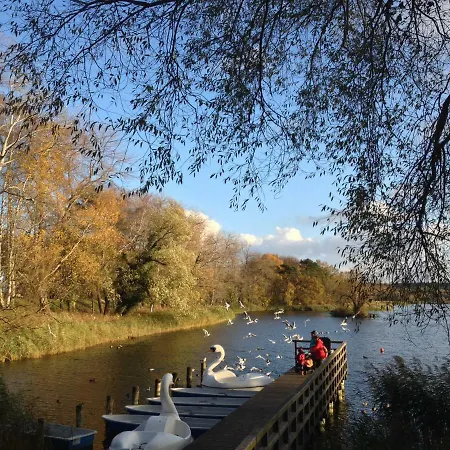Lejlighed Steinbock-ferienwohnungen