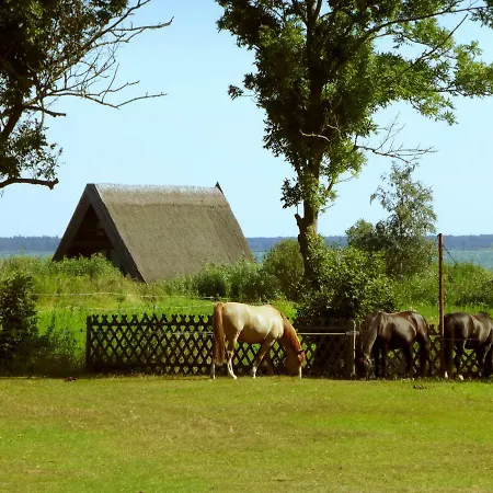 Steinbock-ferienwohnungen Kolpinsee