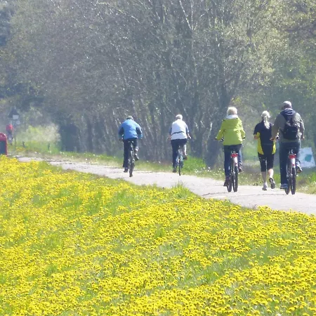 Steinbock-ferienwohnungen Kölpinsee